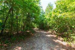 Cypress Ridge Tract 28