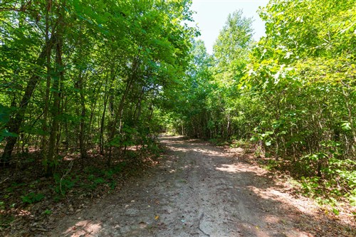 Cypress Ridge Tract 28
