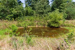 Cypress Ridge Tract 28