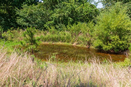 Cypress Ridge Tract 28