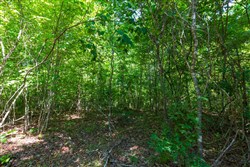 Cypress Ridge Tract 28