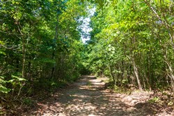 Cypress Ridge Tract 28