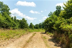 Cypress Ridge Tract 30