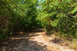 Cypress Ridge Tract 30