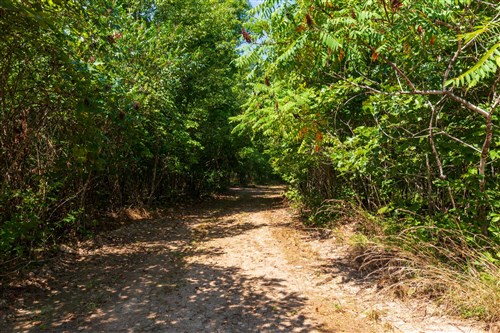 Cypress Ridge Tract 30