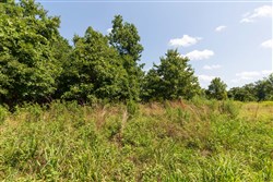 Cypress Ridge Tract 30