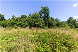 Cypress Ridge Tract 30