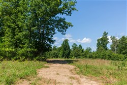 Cypress Ridge Tract 30