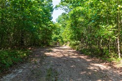 property photo for Cypress Ridge Tract 31, 11.37 acres for sale in Reynolds County, Missouri