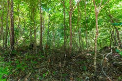 property photo for Cypress Ridge Tract 31, 11.37 acres for sale in Reynolds County, Missouri