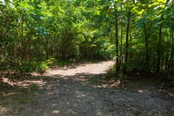 property photo for Cypress Ridge Tract 31, 11.37 acres for sale in Reynolds County, Missouri