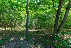 property photo for Cypress Ridge Tract 31, 11.37 acres for sale in Reynolds County, Missouri