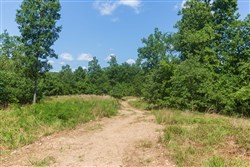 Cypress Ridge Tract 32