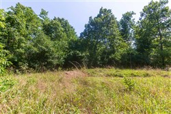 Cypress Ridge Tract 32