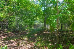 Cypress Ridge Tract 32