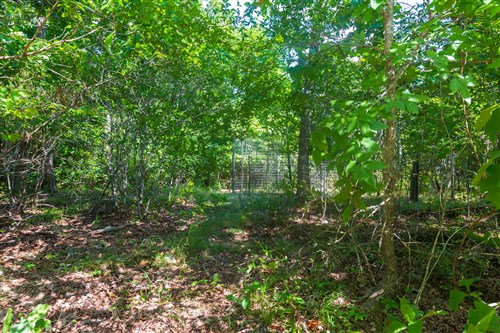 Cypress Ridge Tract 32
