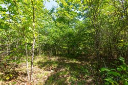 Cypress Ridge Tract 32