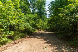 Cypress Ridge Tract 32