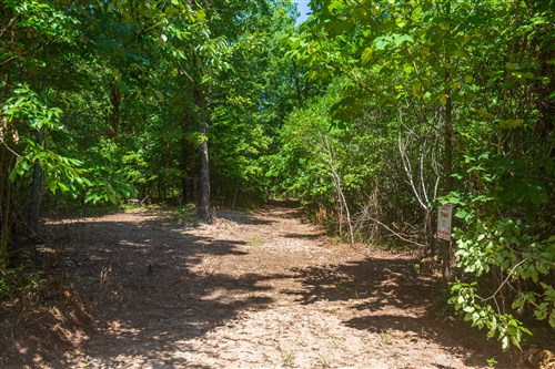 Cypress Ridge Tract 33