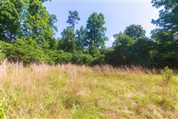 Cypress Ridge Tract 33