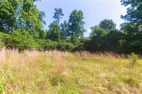 Cypress Ridge Tract 33