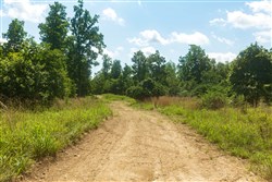 Cypress Ridge Tract 33