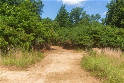 Cypress Ridge Tract 33