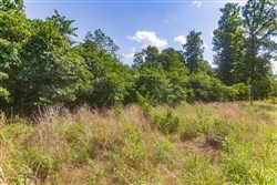 Cypress Ridge Tract 33