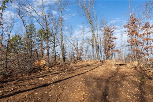 Cypress Ridge Tract 39