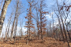 Cypress Ridge Tract 39