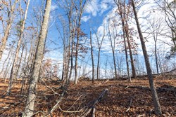 Cypress Ridge Tract 39