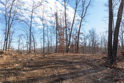 Cypress Ridge Tract 40