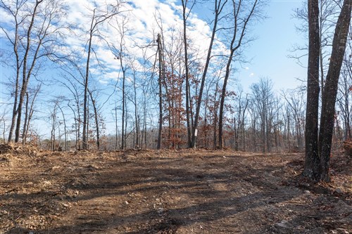 Cypress Ridge Tract 40