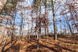 Cypress Ridge Tract 40