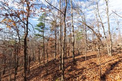 Cypress Ridge Tract 40