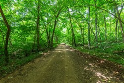 Cypress Ridge Tract 6