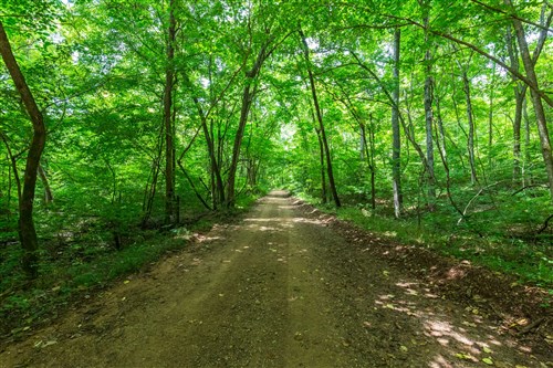 Cypress Ridge Tract 6