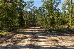Fox Hollow Tract 12