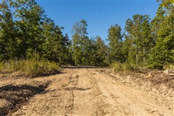 Fox Hollow Tract 14
