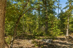 property photo for Fox Hollow Tract 2, 3.15 acres for sale in Reynolds County, Missouri