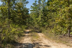 property photo for Fox Hollow Tract 2, 3.15 acres for sale in Reynolds County, Missouri