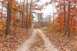 Hawkcrest Tract 12