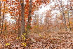 Hawkcrest Tract 12
