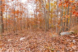 Hawkcrest Tract 12