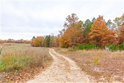 Hawkcrest Tract 16