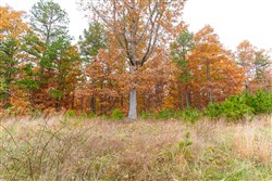 Hawkcrest Tract 16