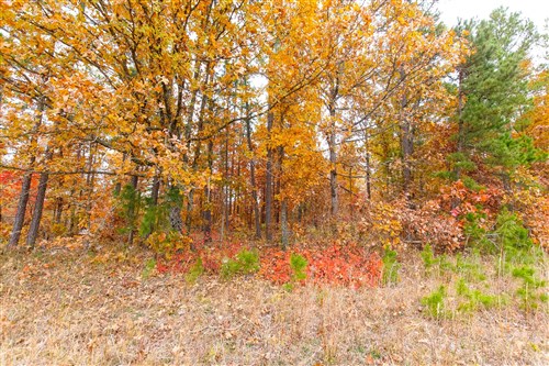 Hawkcrest Tract 16