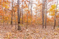 Hawkcrest Tract 16
