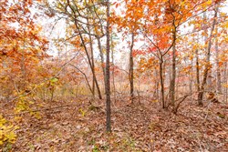 Hawkcrest Tract 16