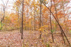 Hawkcrest Tract 16